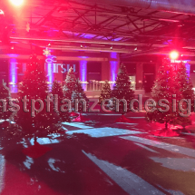 019-Weihnachtsbäume-100-Stück-für-Veranstaltung-auf-2000m²